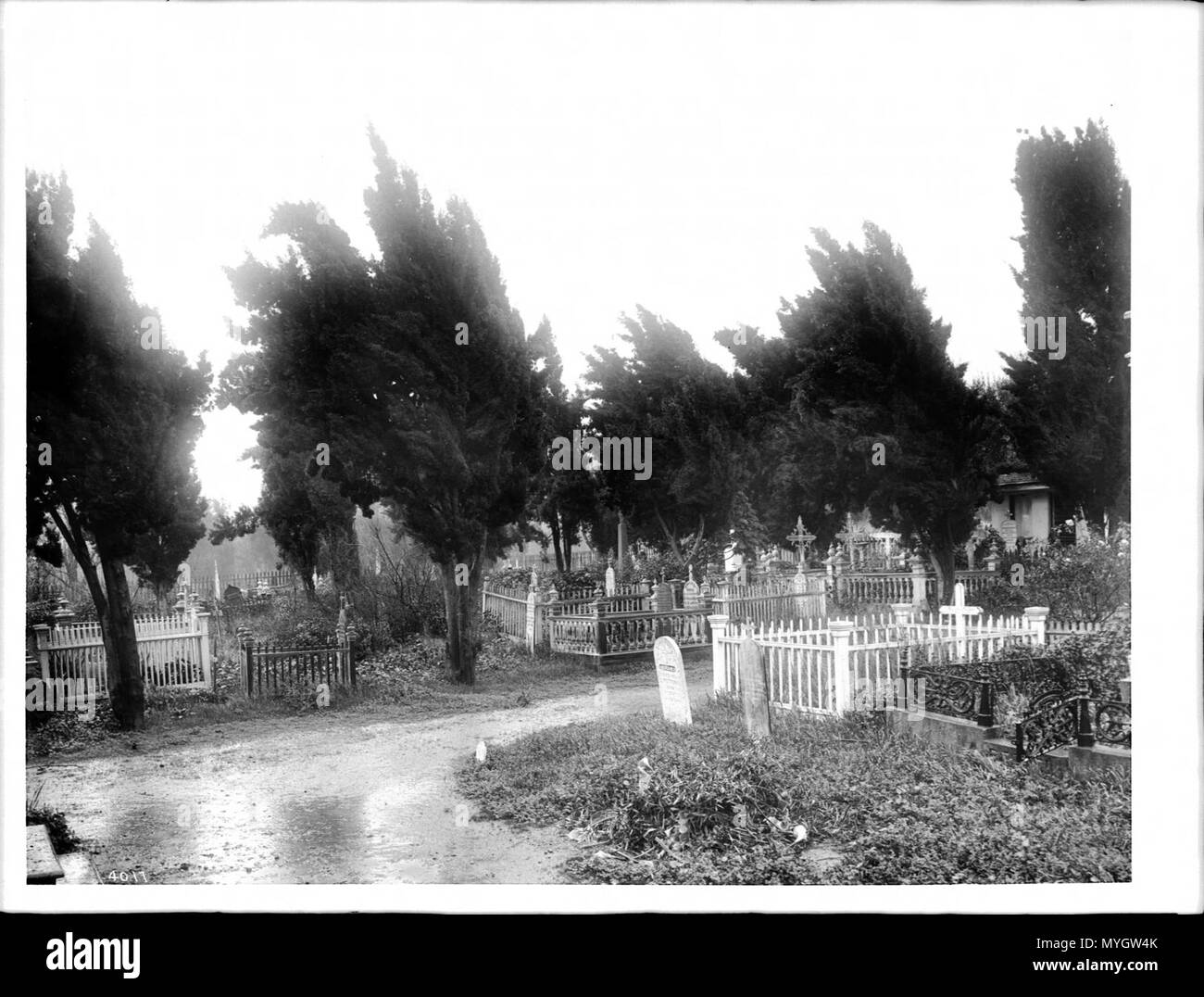 Campo Santo cemetery at Mission San Jose de Guadalupe, 1904 (CHS-4017) Stock Photo