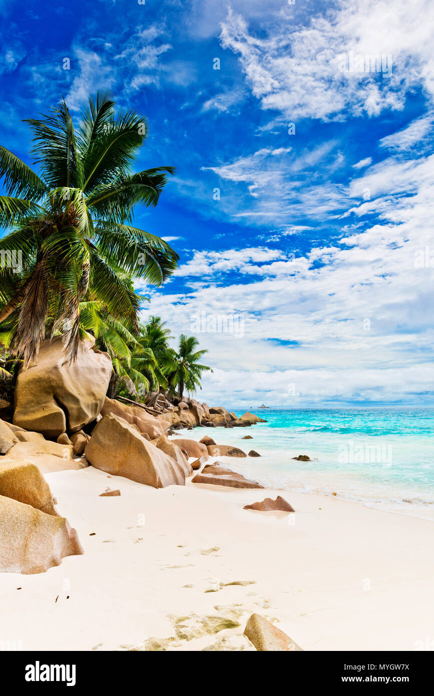 Photo of a tropical beach on the sunny day Stock Photo - Alamy