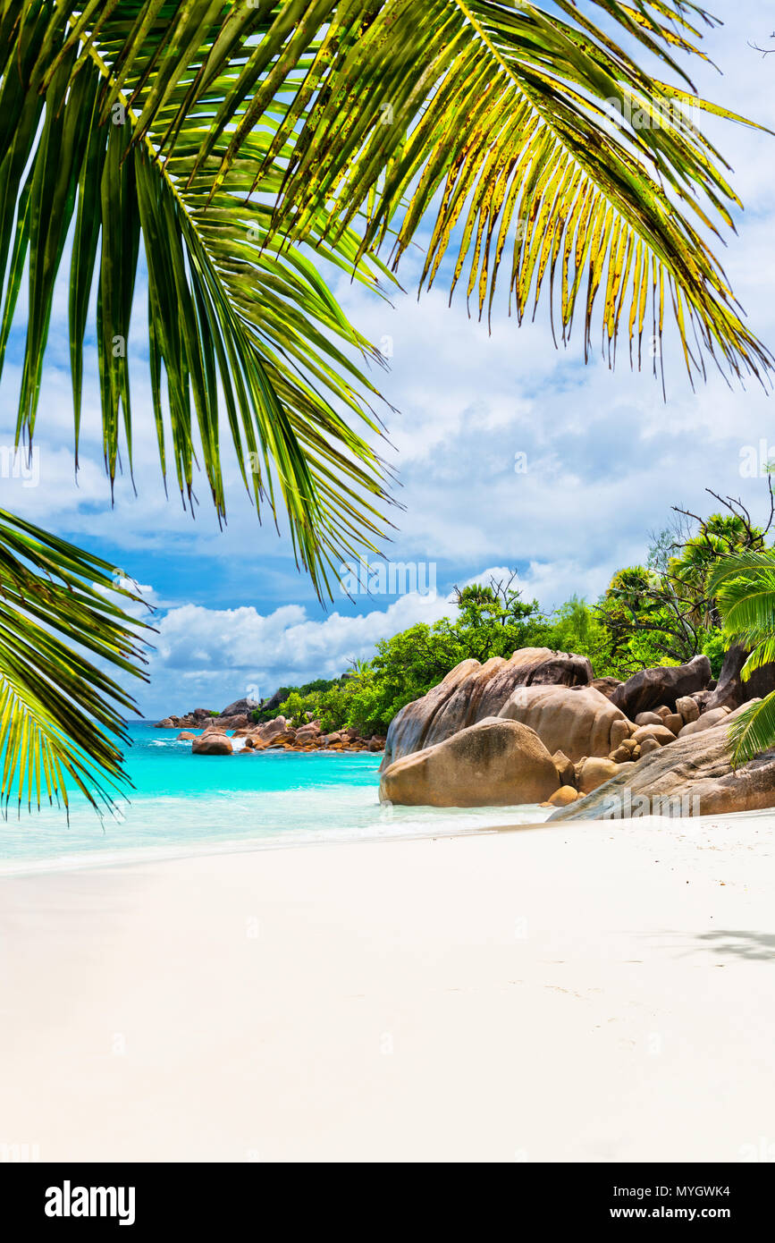 tropical-beach-the-seychelles-stock-photo-alamy