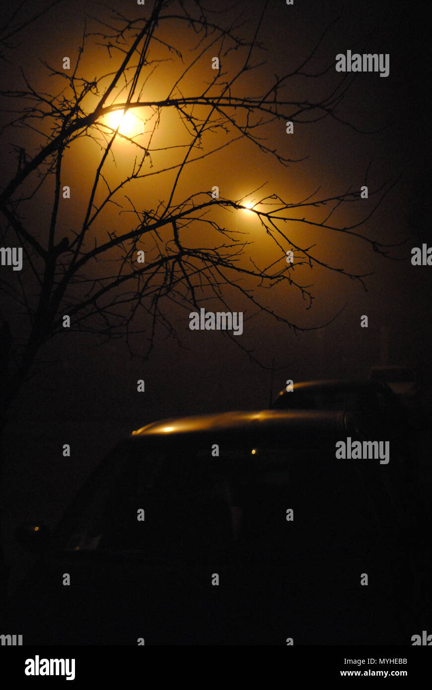 Misty and spooky street scene at night in the city. Stock Photo