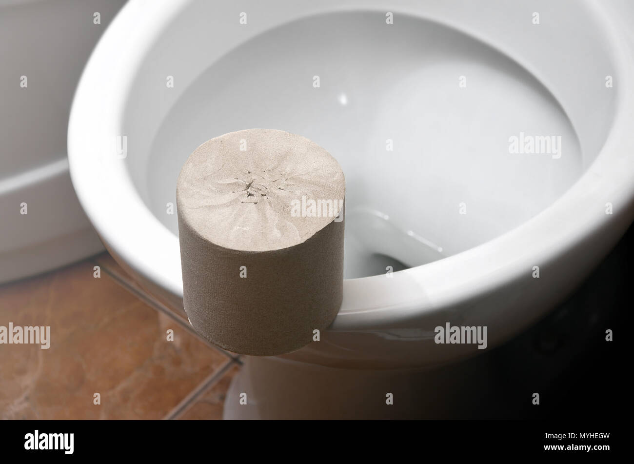 A roll of gray toilet paper lies on a white ceramic toilet in the