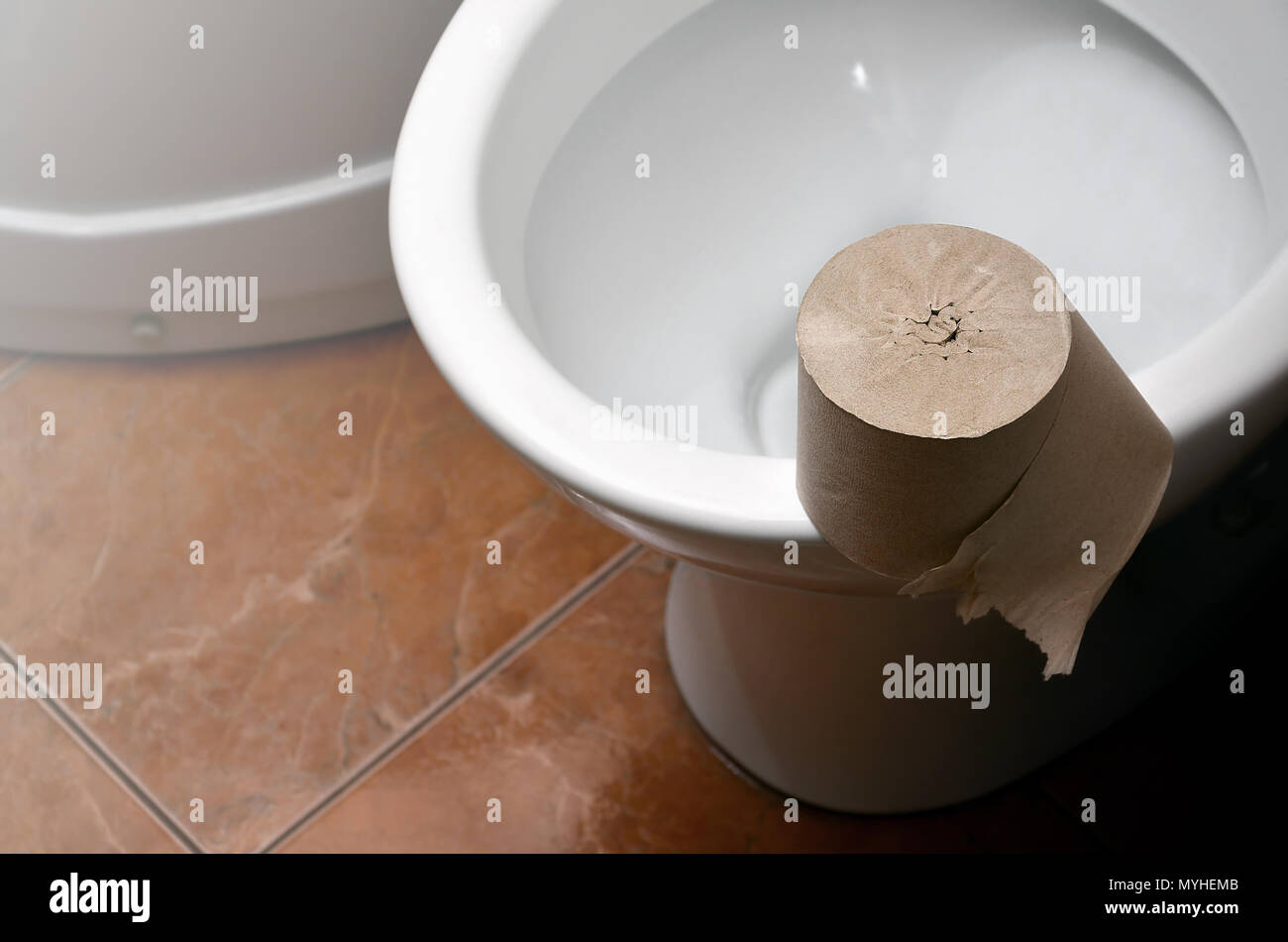 A roll of gray toilet paper lies on a white ceramic toilet in the