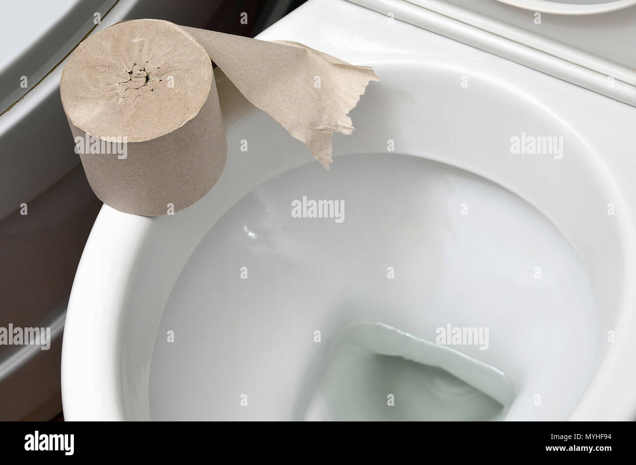 A roll of gray toilet paper lies on a white ceramic toilet in the