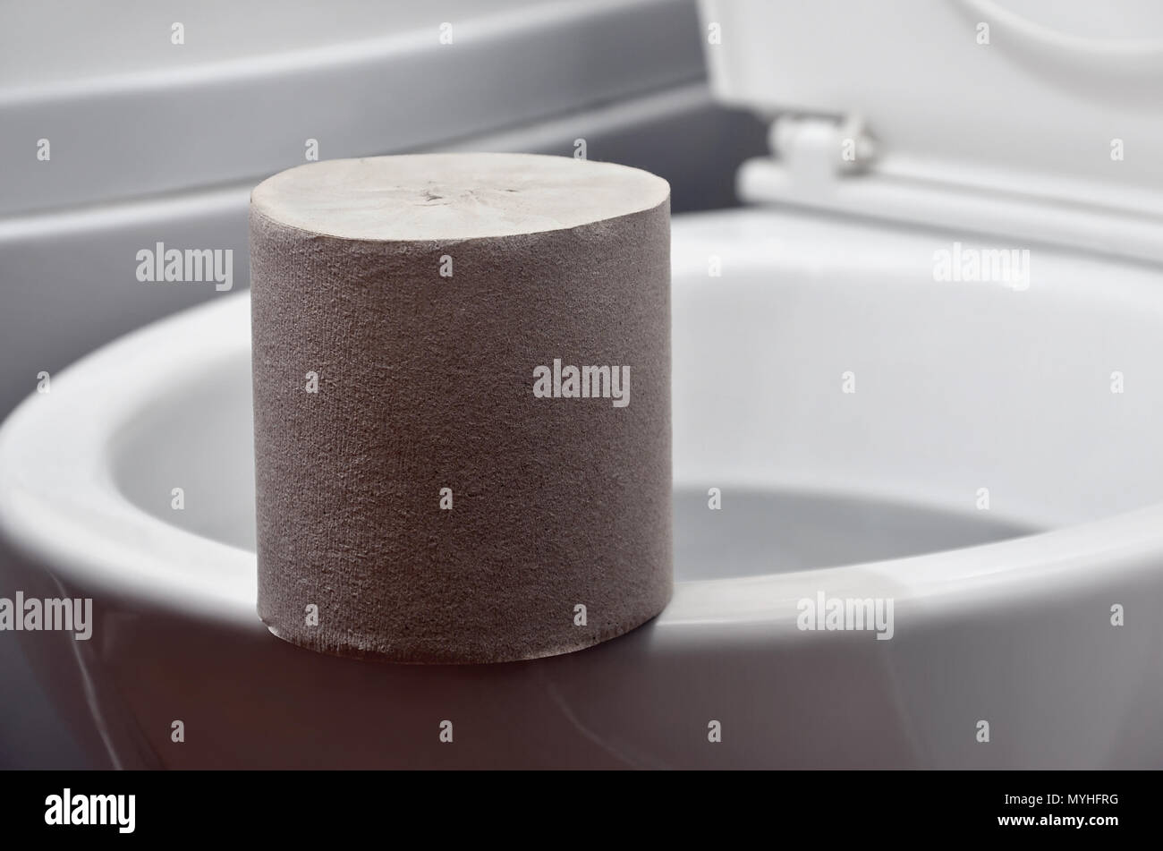 A roll of gray toilet paper lies on a white ceramic toilet in the