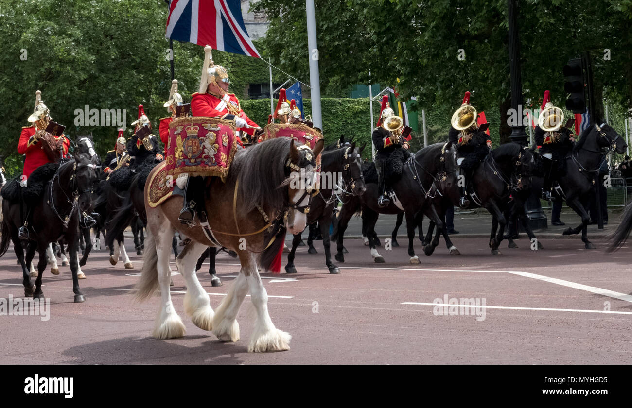 Panorama of drum horse with rider, with Household Cavalry behind, taking part in the Trooping