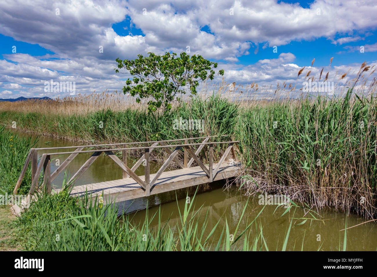 Wooden bridge over wetland Stock Photo Alamy