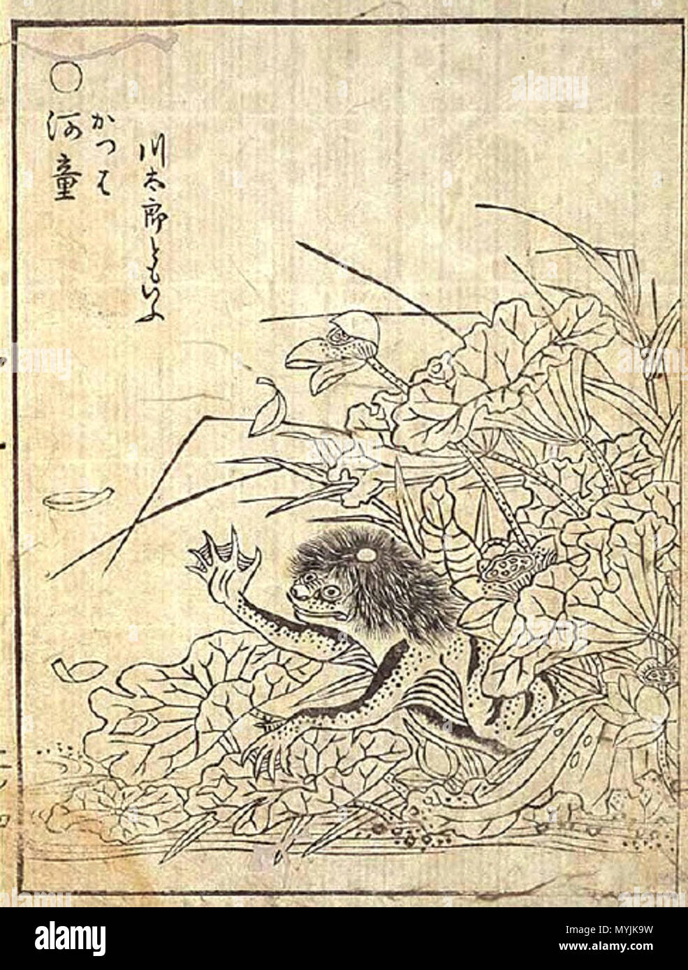 A kappa mythical japanese figure . Unknown date. Toriyama Sekien (Japanese,  *1712, †1788) 291 Kappa jap myth Stock Photo - Alamy