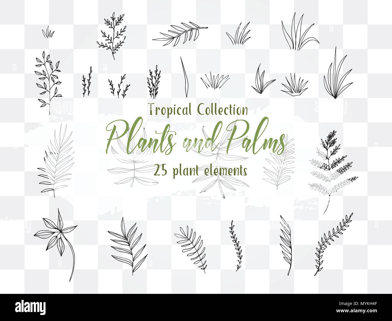 Collection Summer Plants and Palms Stock Vector Image & Art - Alamy