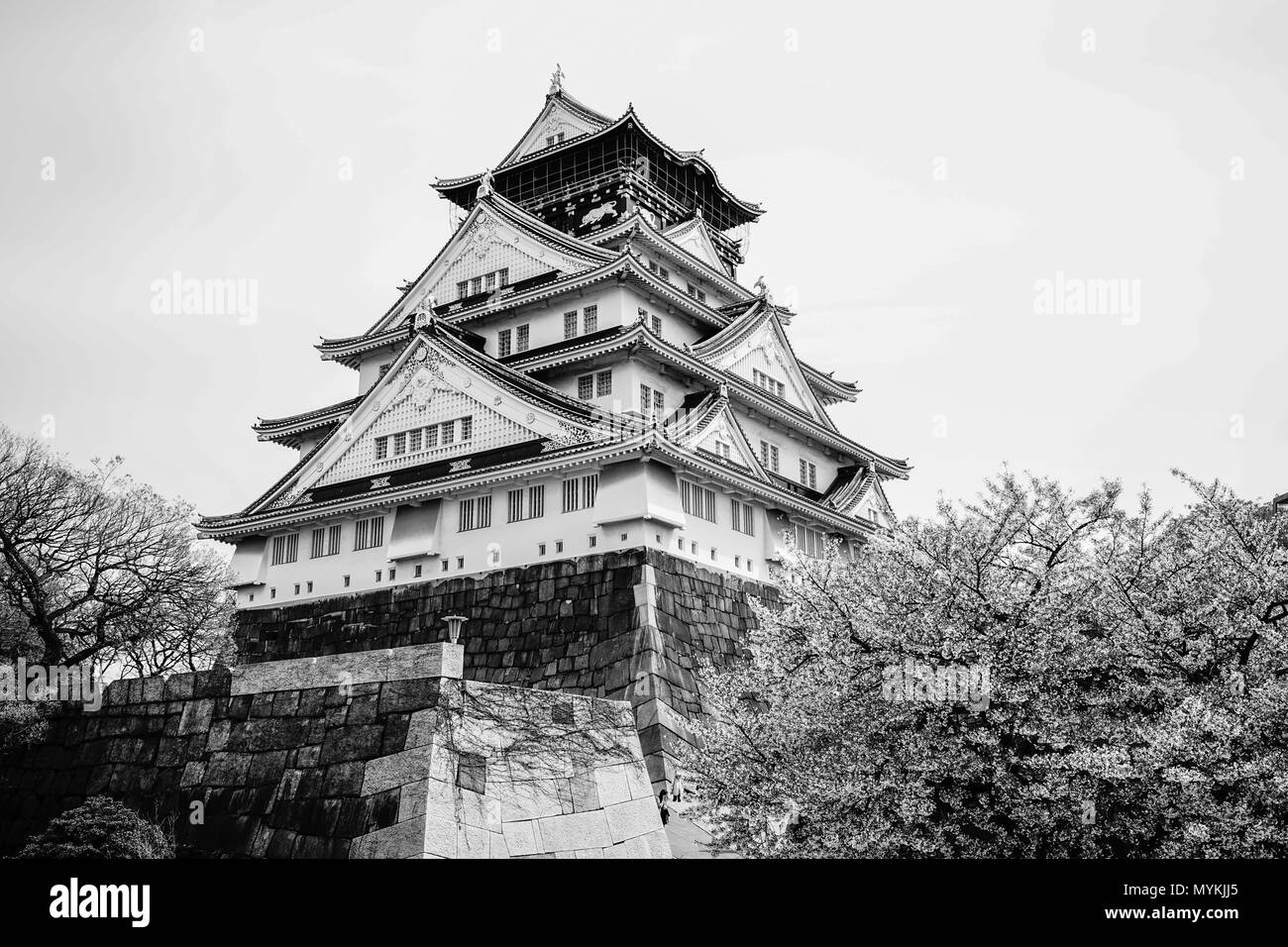 Japanese tourist garden Black and White Stock Photos