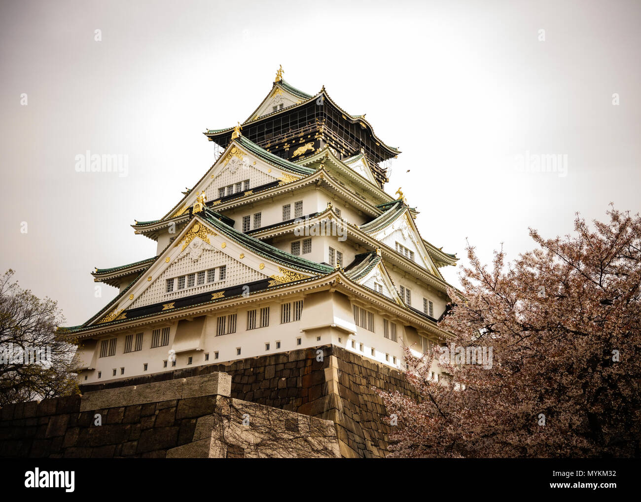 Japanese Spring Castle Osaka, Japan - Apr 7, 2014. View of Osaka Castle (Osakajo) with cherry ...