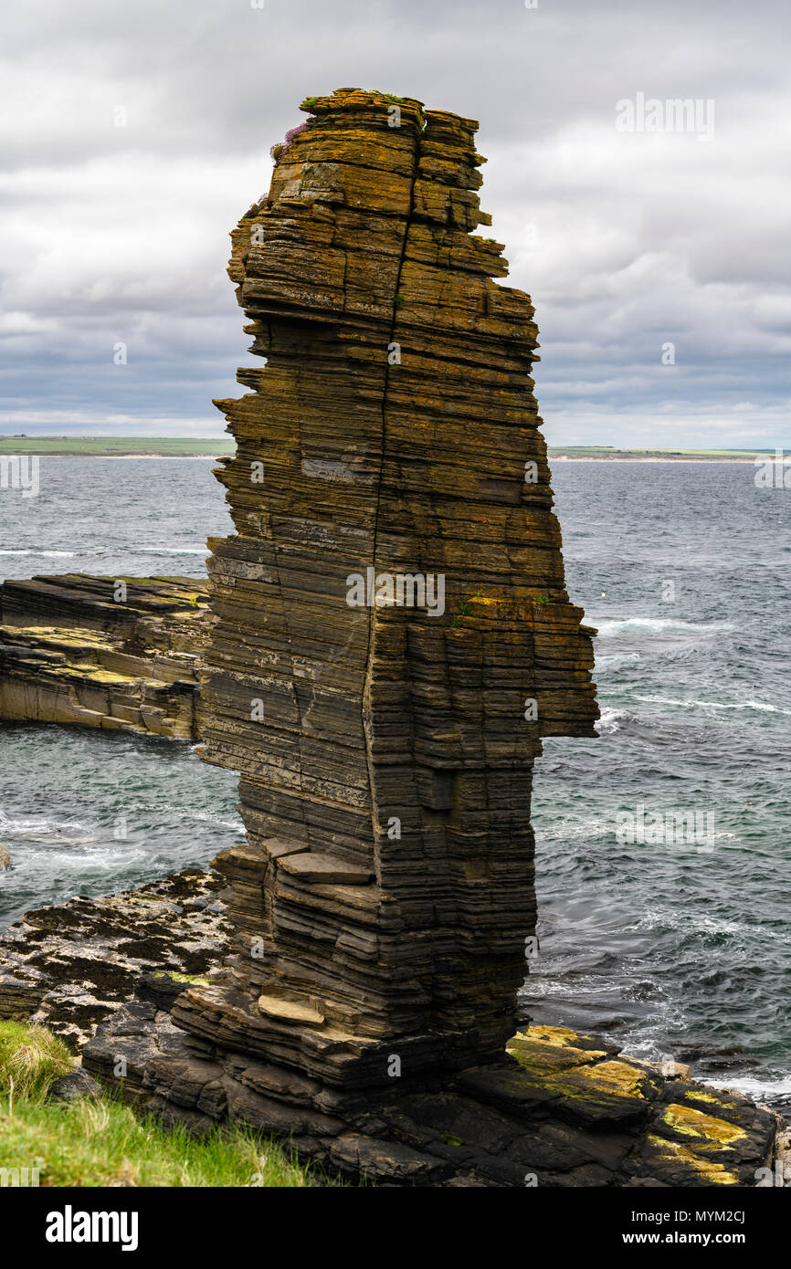 A sea stack on the shore of Sinclair's Bay near Castle Sinclair Girnigoe, Wick, Caithness, Scotland. 22 May 2018. Stock Photo