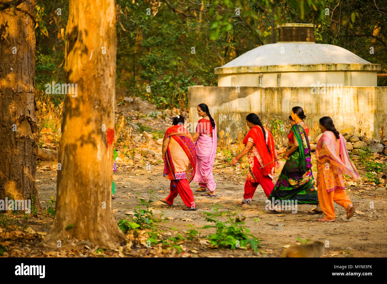 Indian woman walking hi-res stock photography and images - Alamy