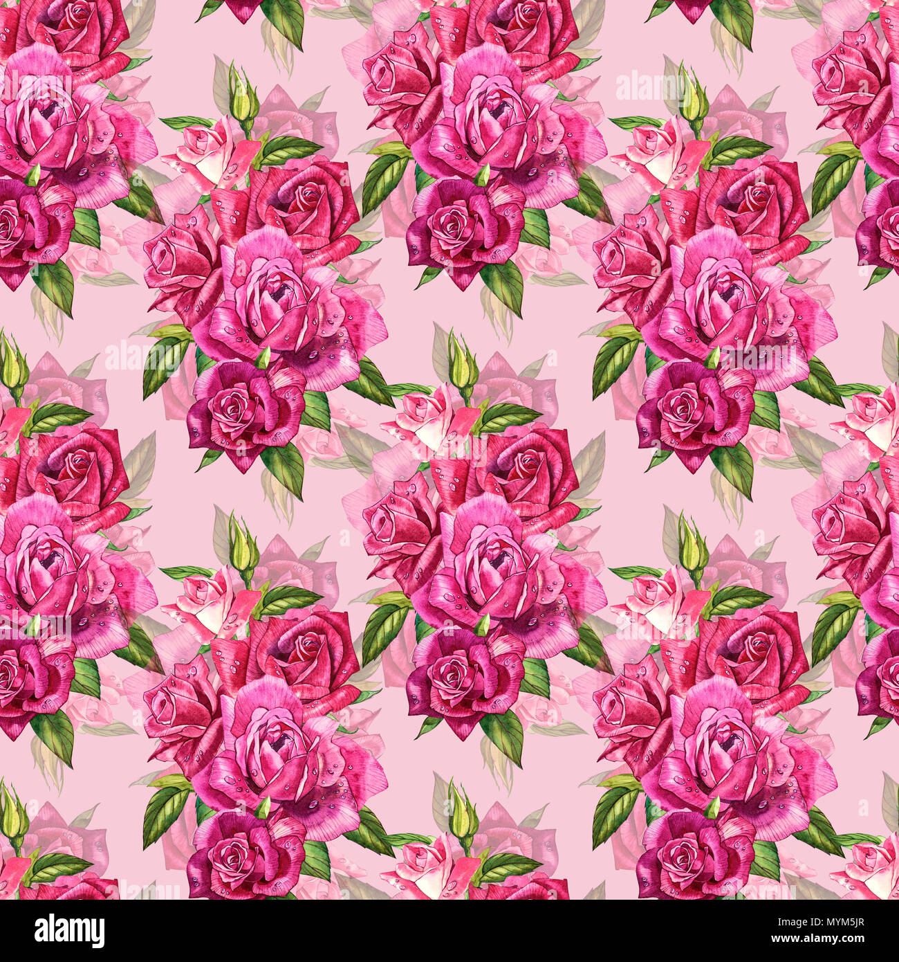 Natural pink roses background. Seamless pattern of red and pink roses,  watercolor illustration Stock Photo - Alamy
