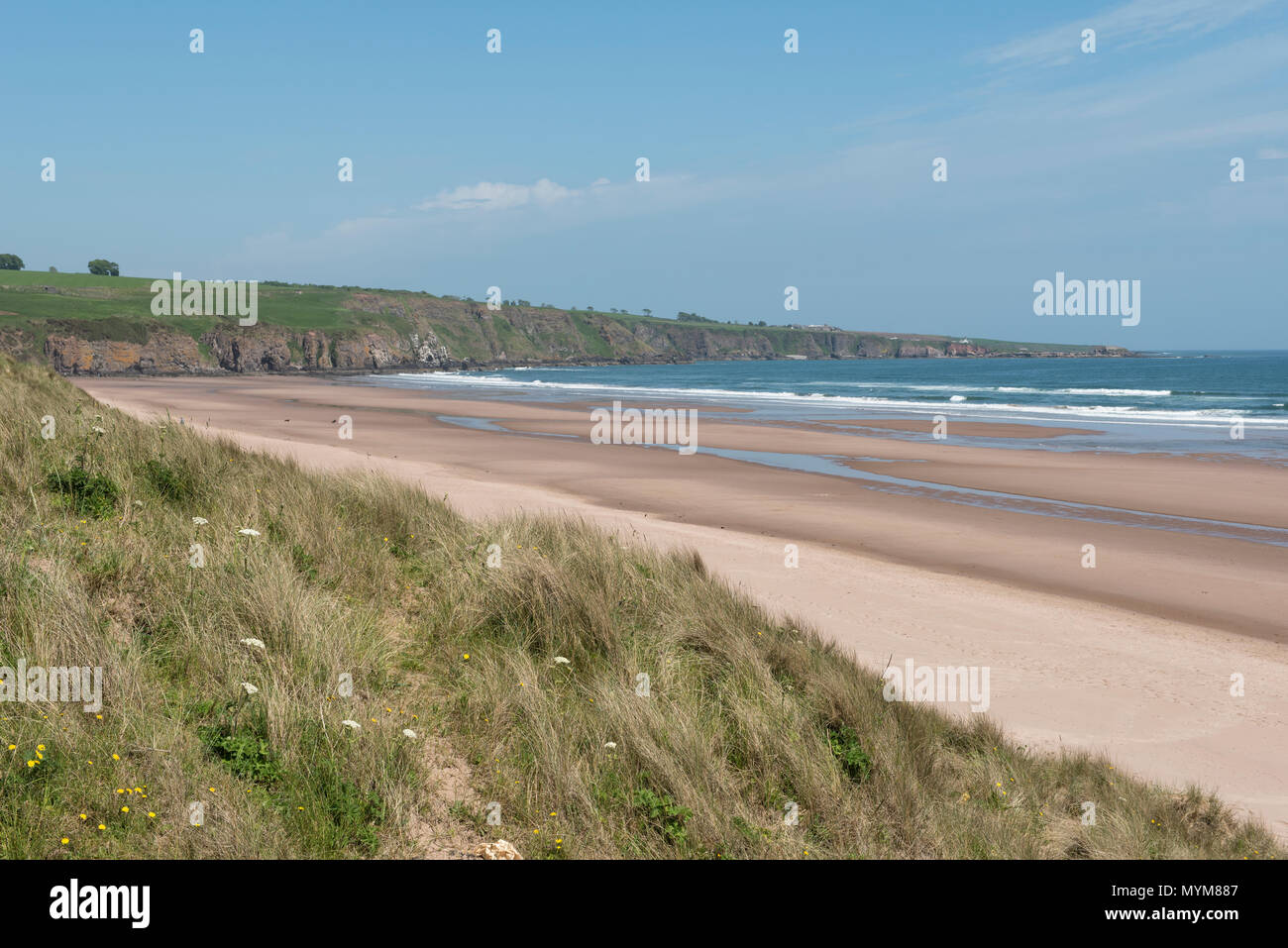 Lunan Bay, Angus, Scotland. The beach which is often voted one of the best in Scotland has the ruin known as Red Castle over looking it. Stock Photo