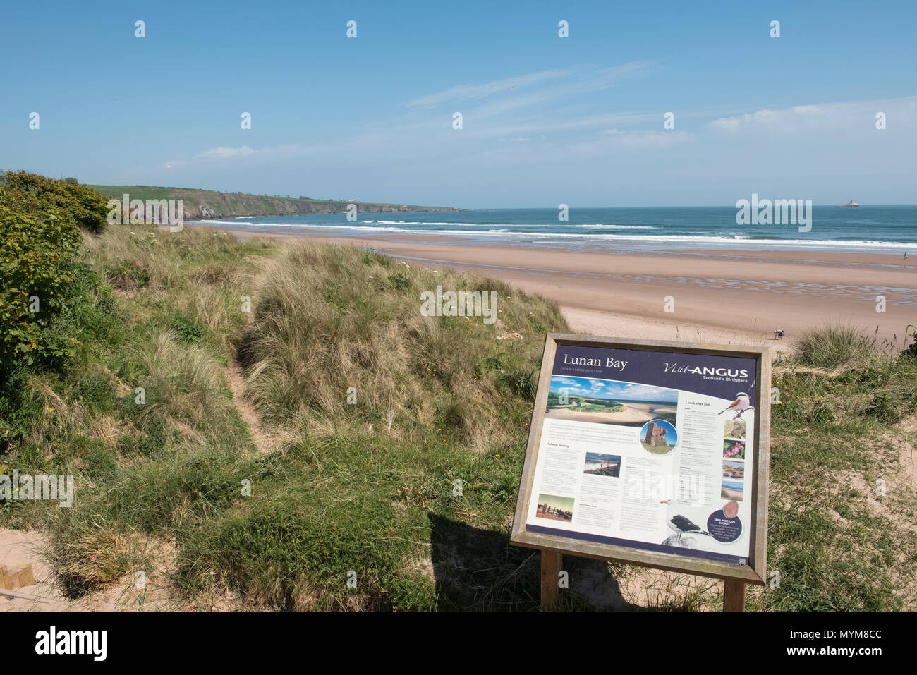 Lunan Bay, Angus, Scotland. The beach which is often voted one of the best in Scotland has the ruin known as Red Castle over looking it. Stock Photo