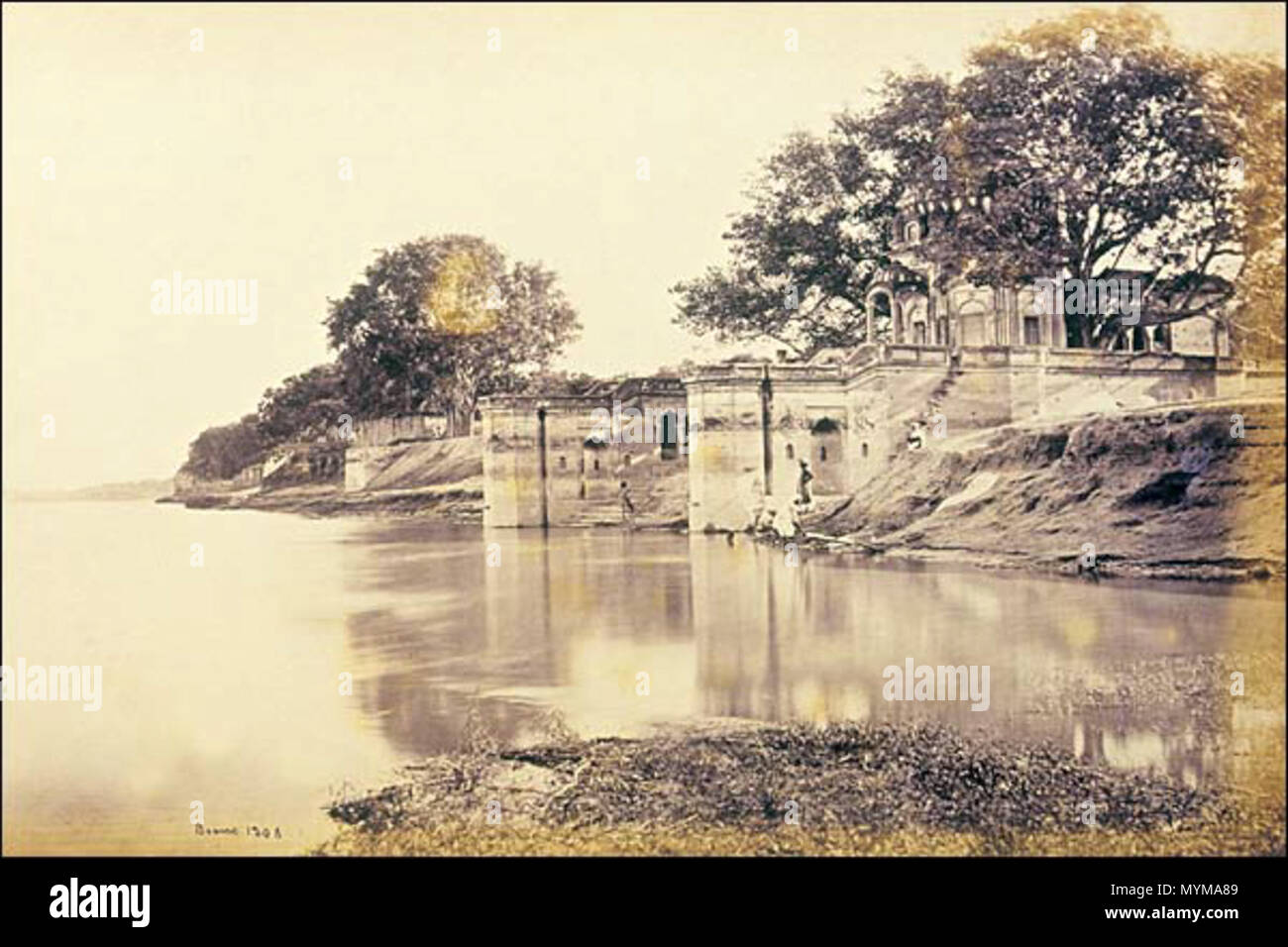 Yalangoch Emma Lahana