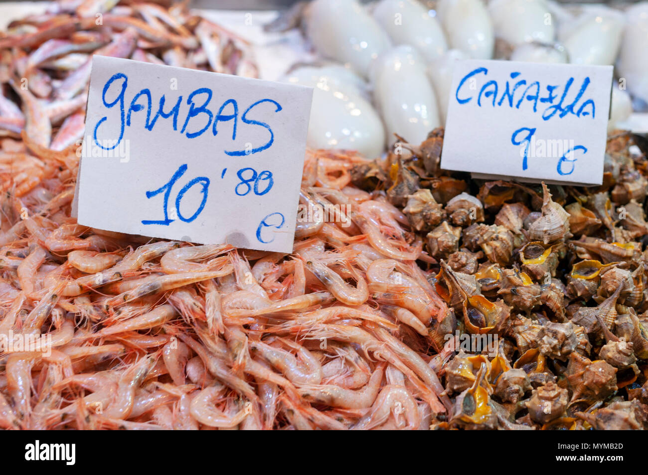 Fresh fish stall in a Spanish food market - gambas and canaella - shrimp and whelks Stock Photo