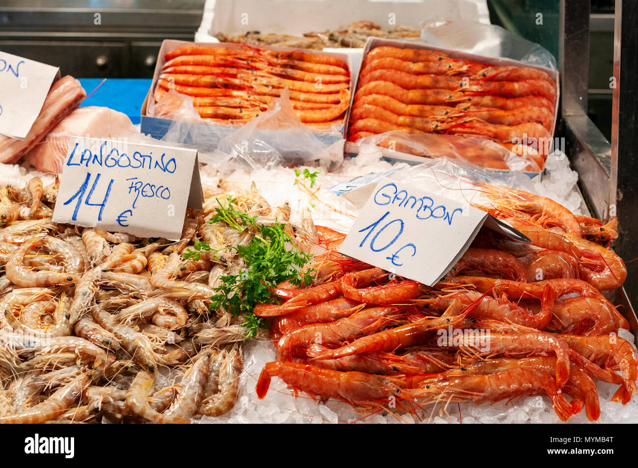 Fresh shellfish on a market stall -  langustino & gambon -  langustine and shrimp Stock Photo