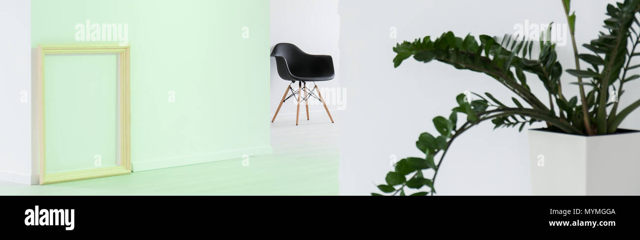 Spacious white empty living room with black chair in the middle and green plant in the corner Stock Photo