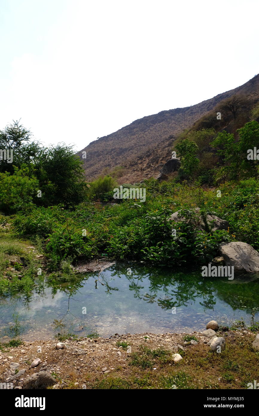 Oman Arabia, Arabian Gulf, Desert KIngdom. Sultanate of Oman, Safe