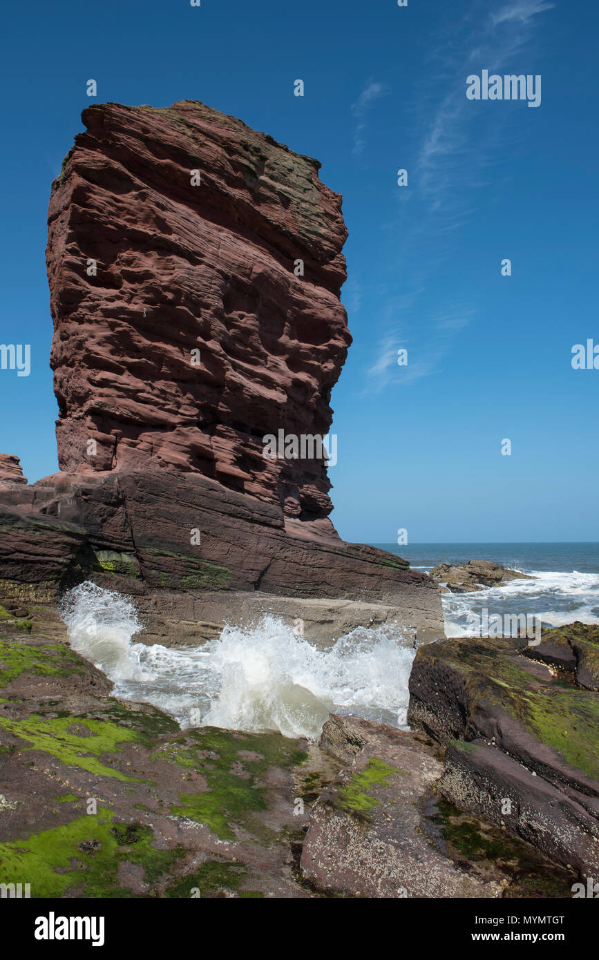The Deil's Heid (Devils Head) red sandstone sea stack, Seaton Cliffs,  Arbroath, Angus, Scotland. Stock Photo