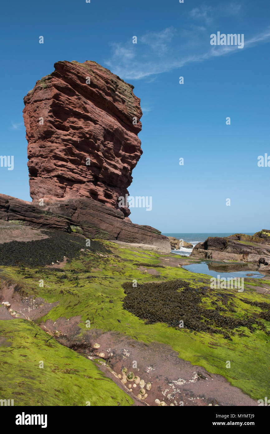 Coastal erosion sea stack hi-res stock photography and images - Alamy