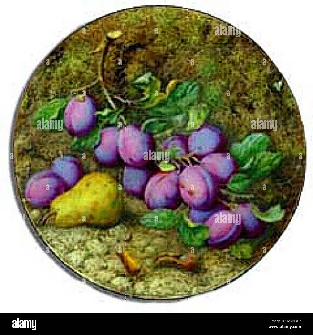 . English: Large circular dish painted with pear and plums on a mossy background. It is believed that this plaque was ordered by a local farmer to commemorate the introduction of the Pershore Variety of plum in 1880. The artist Octar Copson, who left Royal Worcester's employ soon after this, was the first to paint in this celebrated Worcester Fruit painting style, depicting life size, realistic and tactile fruit with all its natural imperfections. This style of painting can also be seen in late Victorian water colours. Painted bone-china plaque 15.5 inches diameter. 1880. Octar H. Copson born  Stock Photo