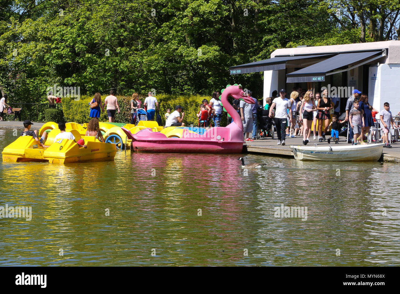 People enjoying in paddling boats in boating Lake at Alexandra Palace, north London during the record breaking May bank holiday heatwave.  Featuring: Atmosphere, View Where: London, United Kingdom When: 07 May 2018 Credit: Dinendra Haria/WENN Stock Photo