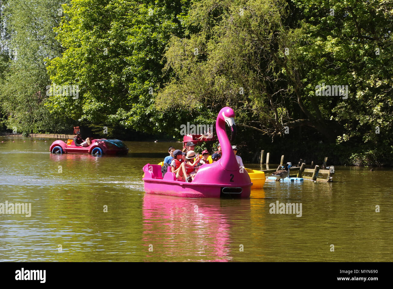 People enjoying in paddling boats in boating Lake at Alexandra Palace, north London during the record breaking May bank holiday heatwave.  Featuring: Atmosphere, View Where: London, United Kingdom When: 07 May 2018 Credit: Dinendra Haria/WENN Stock Photo