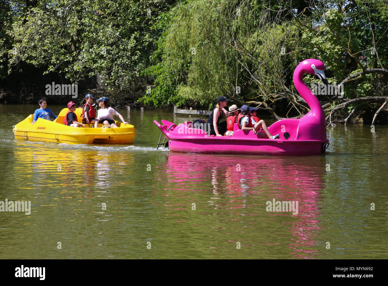 People enjoying in paddling boats in boating Lake at Alexandra Palace, north London during the record breaking May bank holiday heatwave.  Featuring: Atmosphere, View Where: London, United Kingdom When: 07 May 2018 Credit: Dinendra Haria/WENN Stock Photo