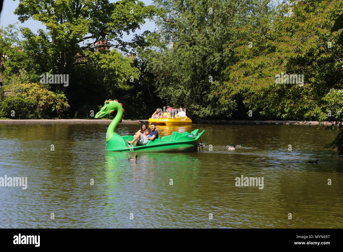 People enjoying in paddling boats in boating Lake at Alexandra Palace, north London during the record breaking May bank holiday heatwave.  Featuring: Atmosphere, View Where: London, United Kingdom When: 07 May 2018 Credit: Dinendra Haria/WENN Stock Photo