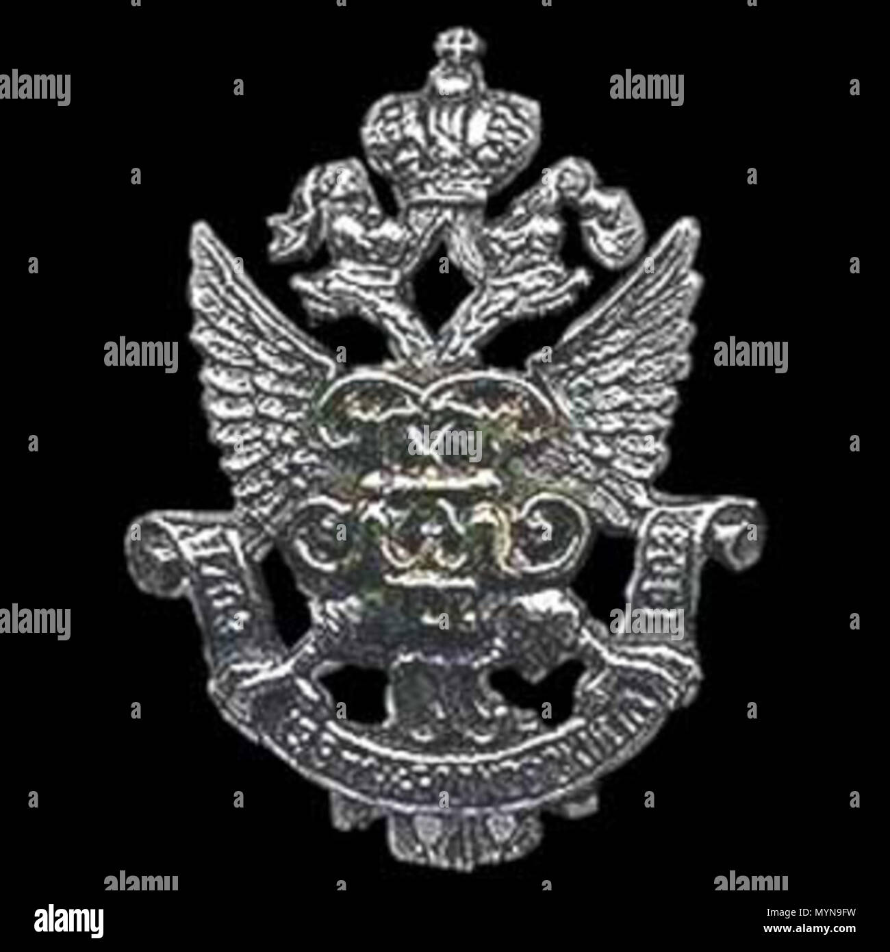 . Badge of Bolhovsky 138-th Regiment . This file is lacking author ...