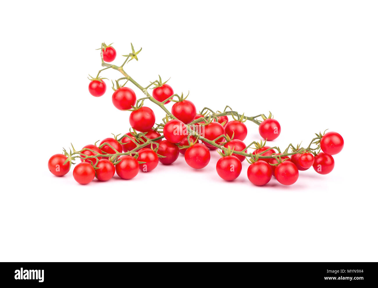 Two branches with small red cherry tomatoes on a white background Stock Photo