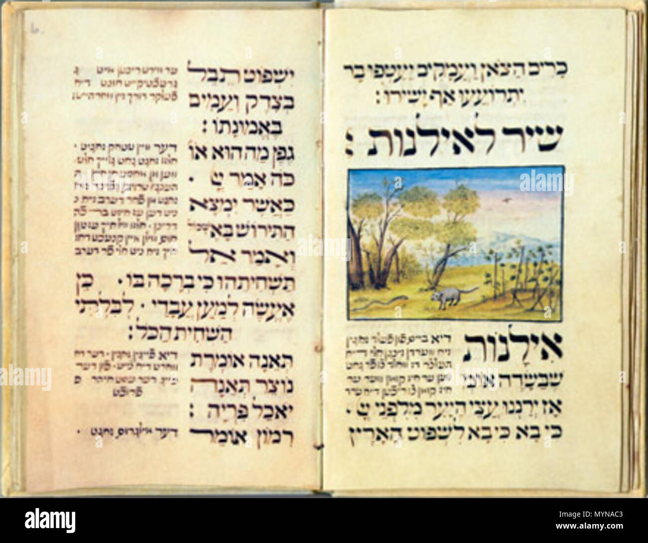 . English: Perek Shirah is a tenth-century cosmic hymn to the Creator in which all of Creation, including the winds, clouds, all species of birds, mammals and fish sing praises for their very existence. This Hebrew and Yiddish manuscript was probably written by Aaron Wolf Schreiber Herlingen of Gewitsch, who worked in Vienna, probably the most famous Hebrew scribe of the eighteenth century. 18th century. Aaron Wolf Schreiber Herlingen of Gewitsch 416 Perek Shirah Stock Photo