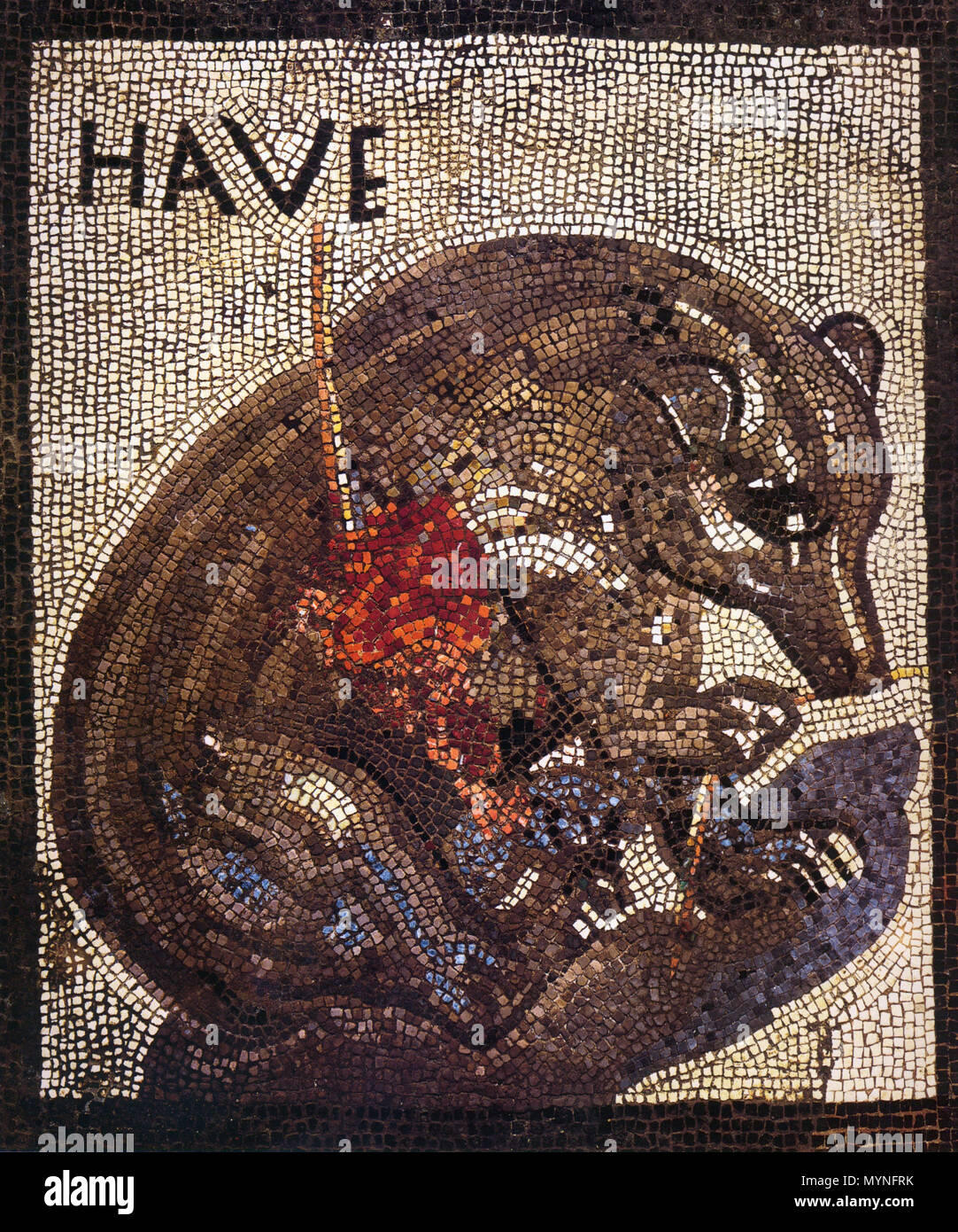 English: Bear wounded by a spear. Text above is the welcome HAVE. Roman  mosaic from the House of the Bear (VII 2, 45) in Pompeii. Deutsch: Von  einem Speer verwundeter Bär.