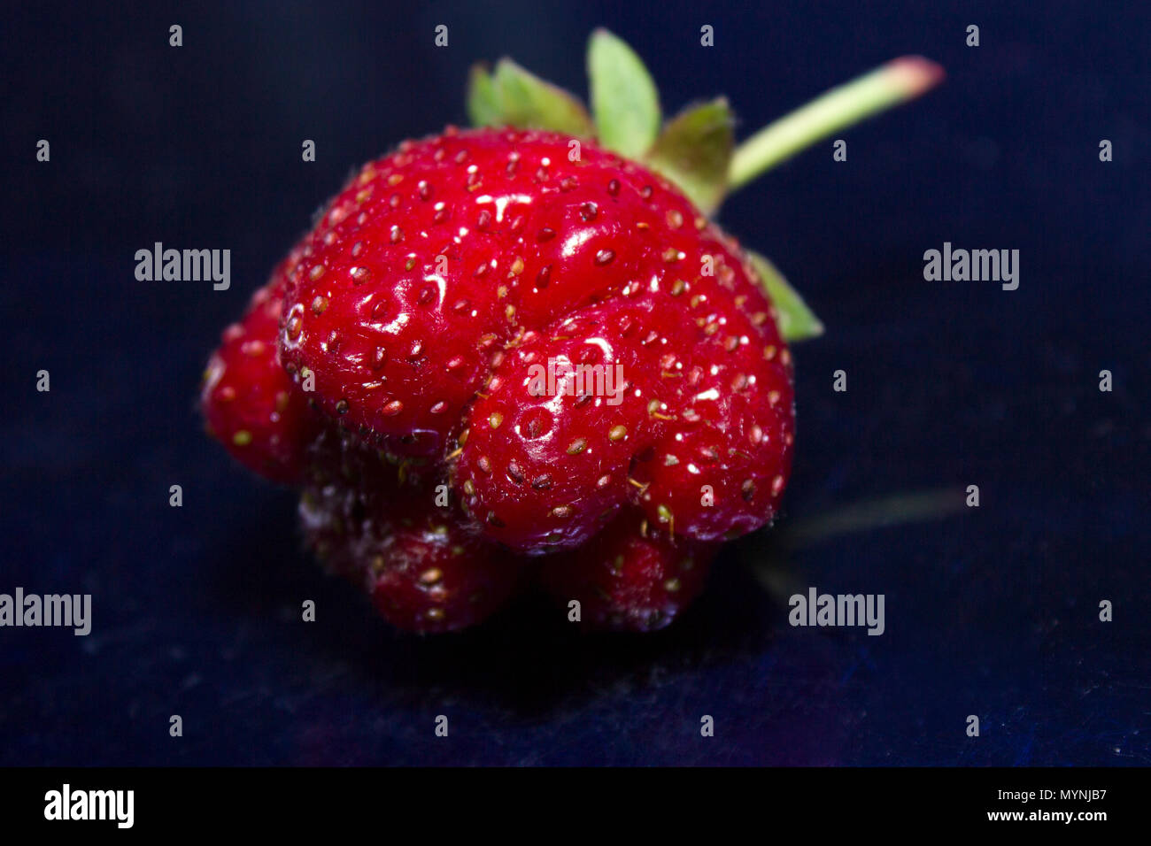 Strawberry on a blue background Stock Photo - Alamy