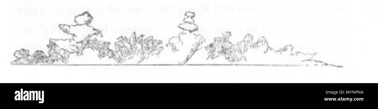 . This is an illustration entitled 'Rocks on Roe's Group' from Volume 1 of John Lort Stokes' 1846 book Discoveries in Australia. 1846. John Lort Stokes 458 Rocks on Roe's Group (Discoveries in Australia) Stock Photo