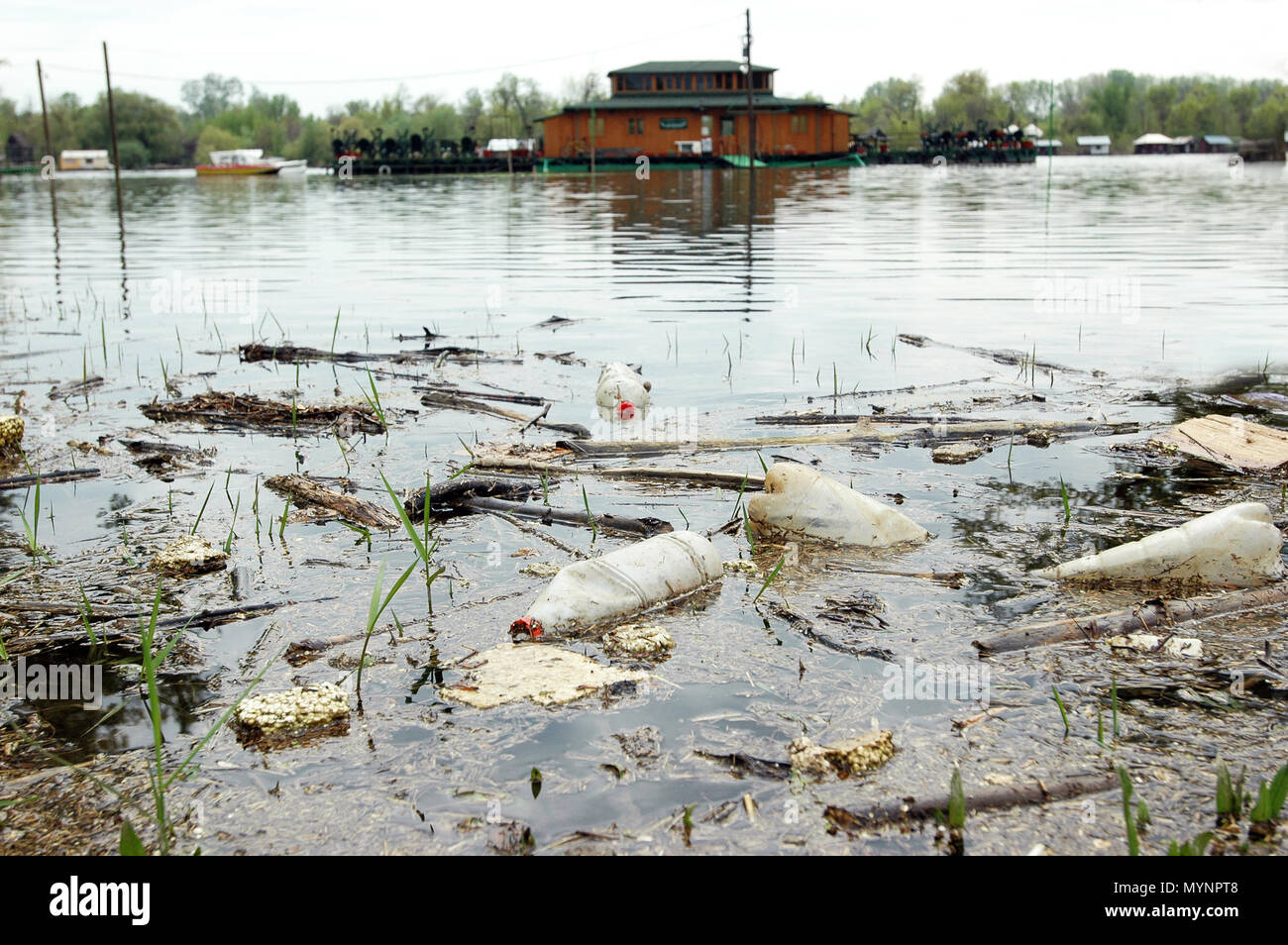 Polluted river Stock Photo