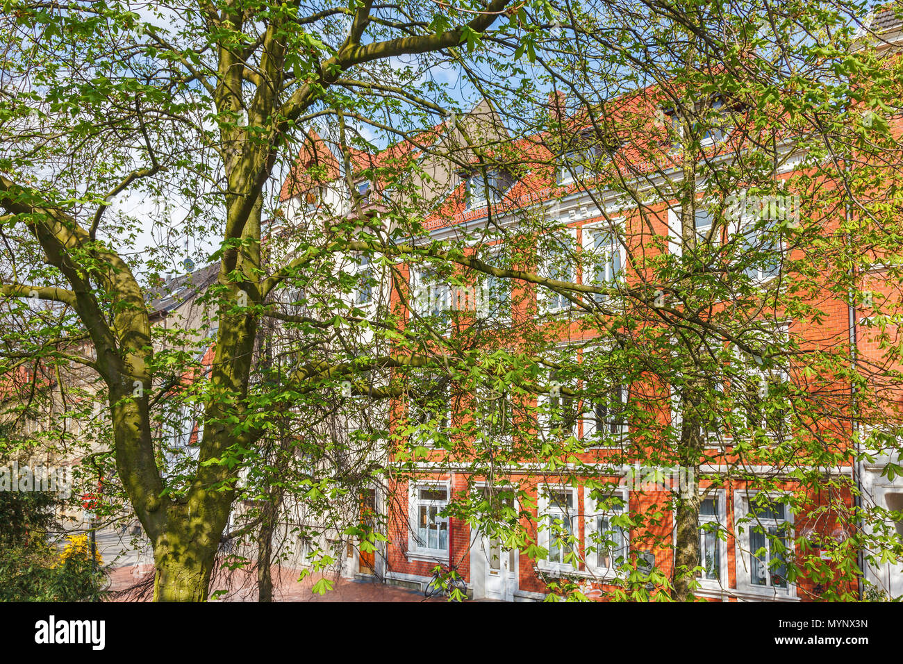 Apartment building in a street with spring lush foliage Chestnut trees