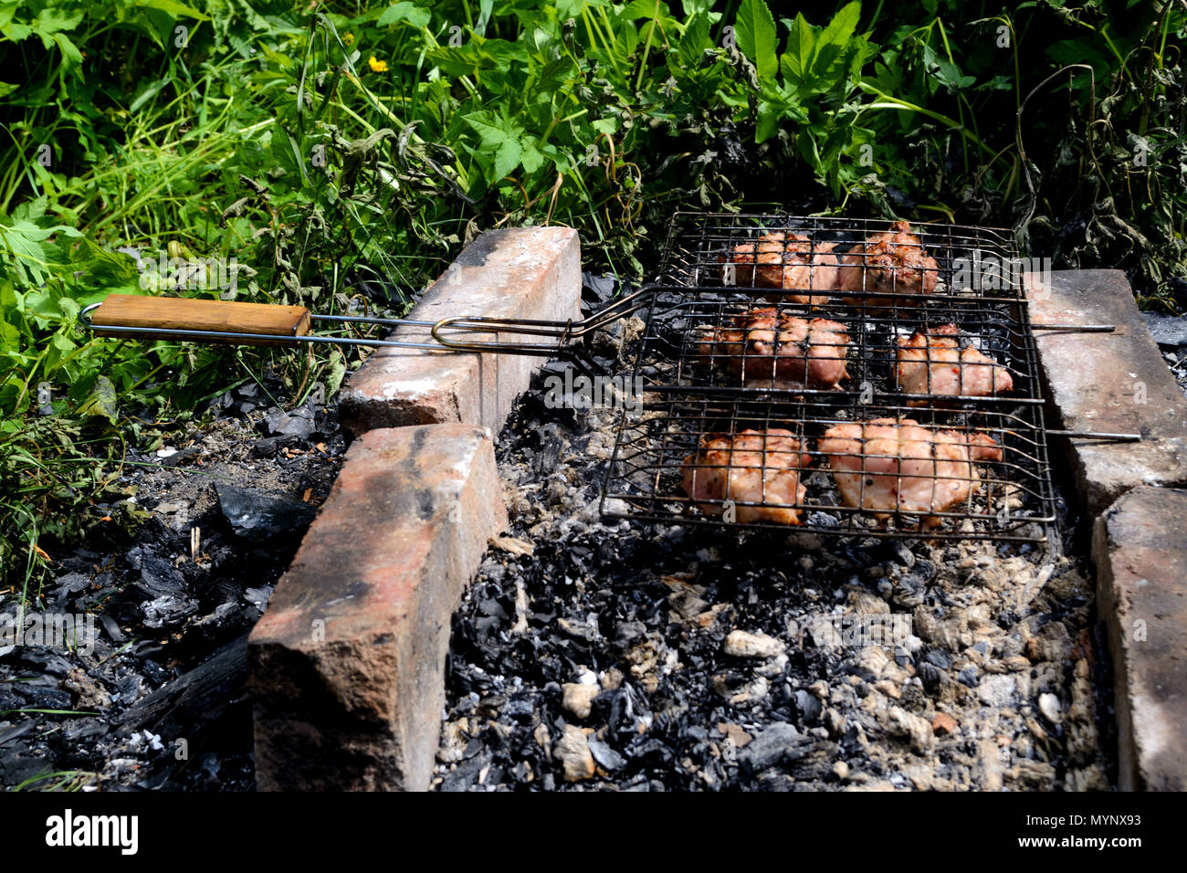 Six pieces of pork in the barbecue grill. Cooking on the coals.Front view. Stock Photo