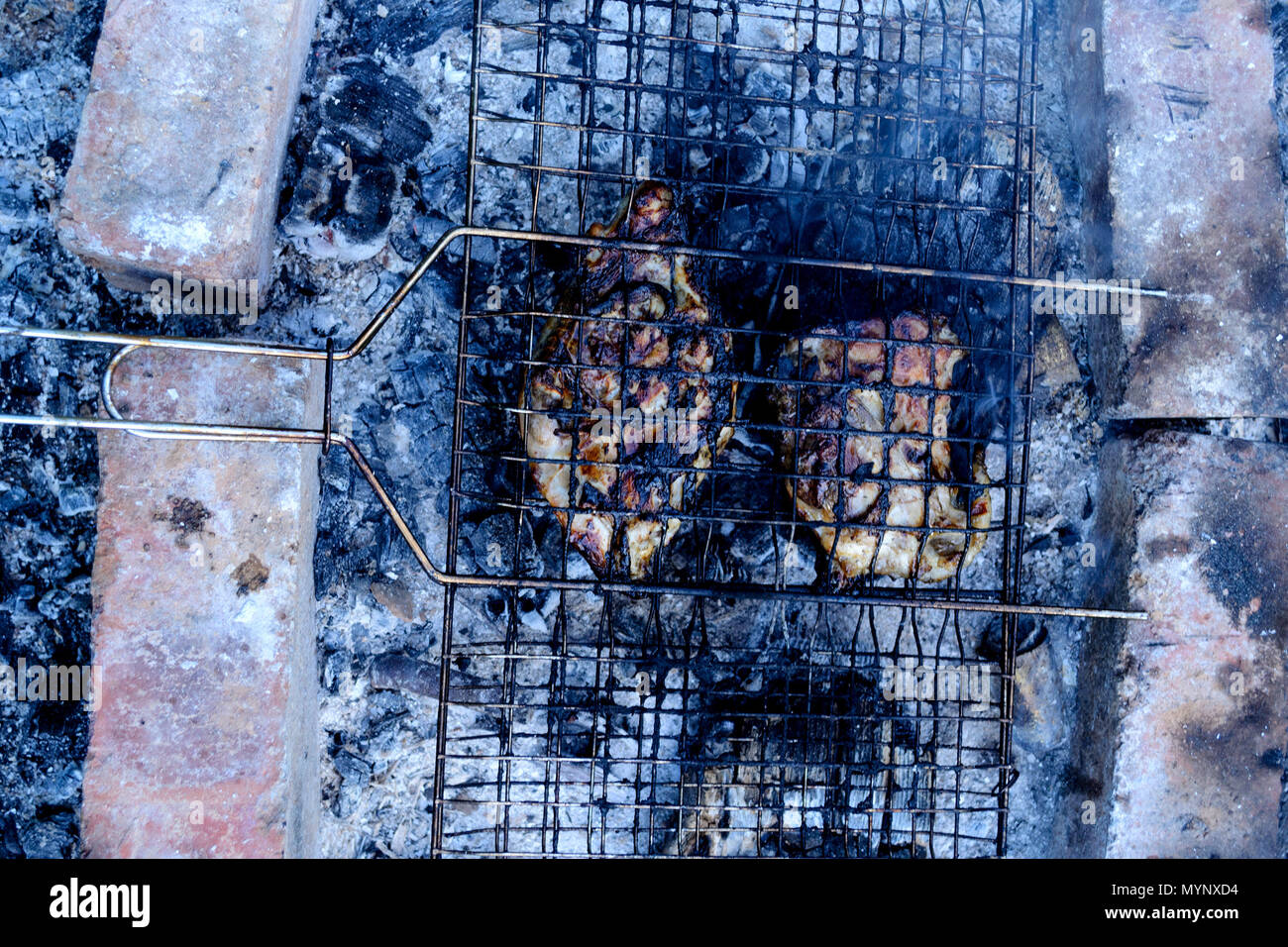 Two pieces of chicken in barbecue grill and fried on coals. Top view. Blue tone picture. Horizontal frame. Close up Stock Photo