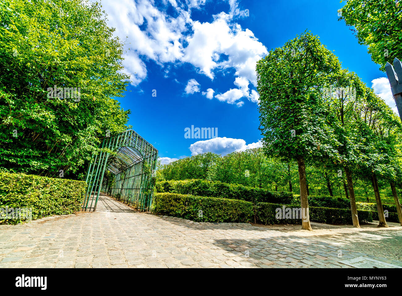 The impressive gardens within the grounds of the Palace of Versailles