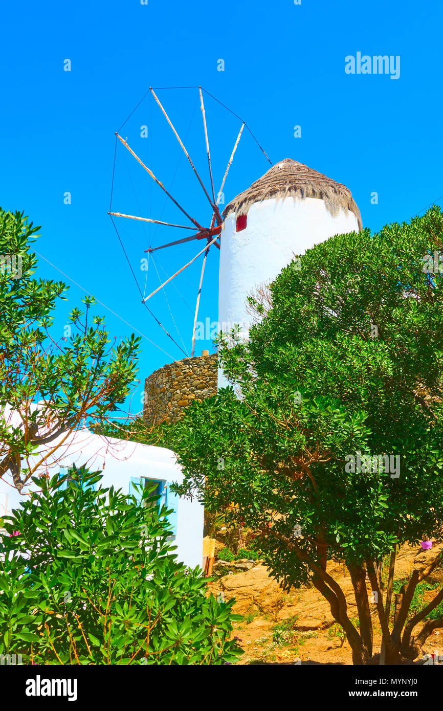 Old Windmill And Olive Garden Mykonos Greece Stock Photo