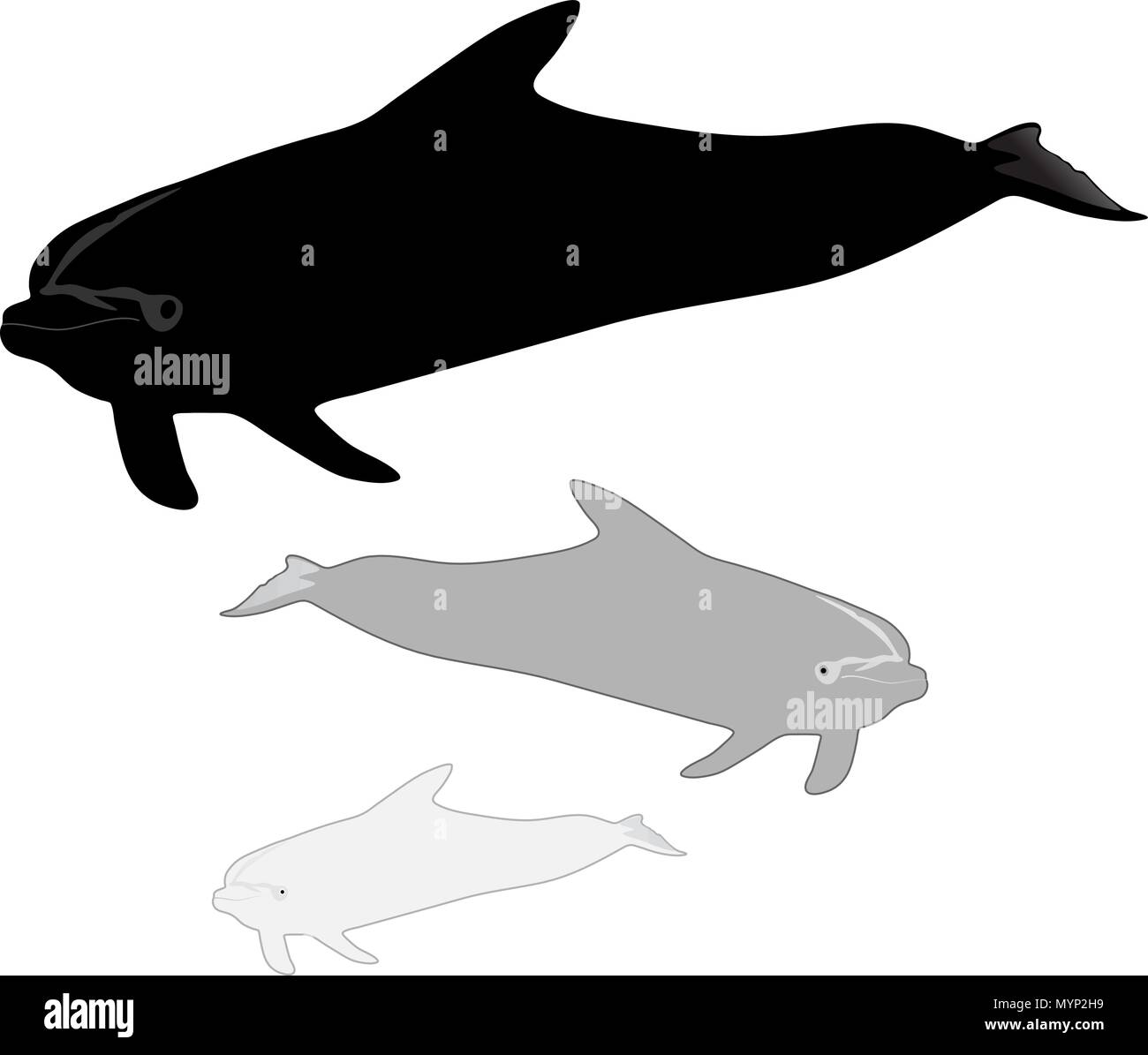 Dolphin in action Stock Vector