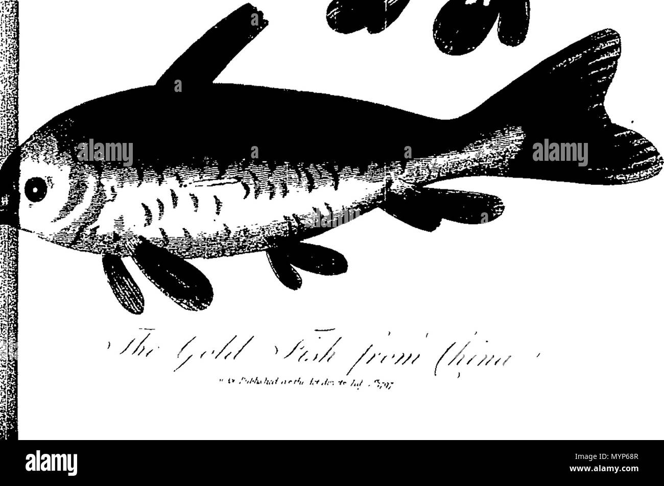 Book of caverns hires stock photography and images Alamy