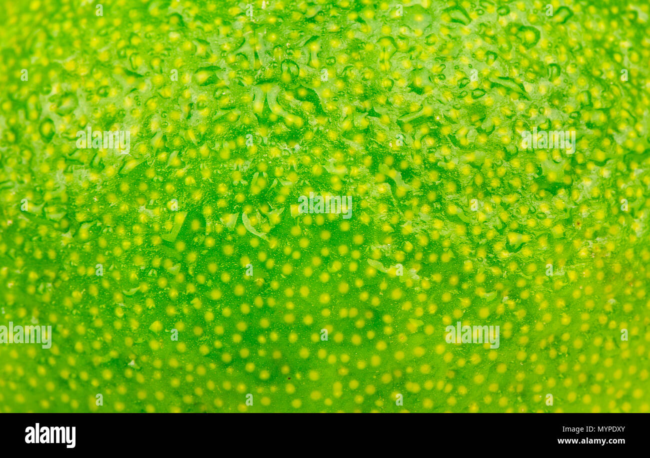 Green background of fresh fruits lime peel Stock Photo Alamy