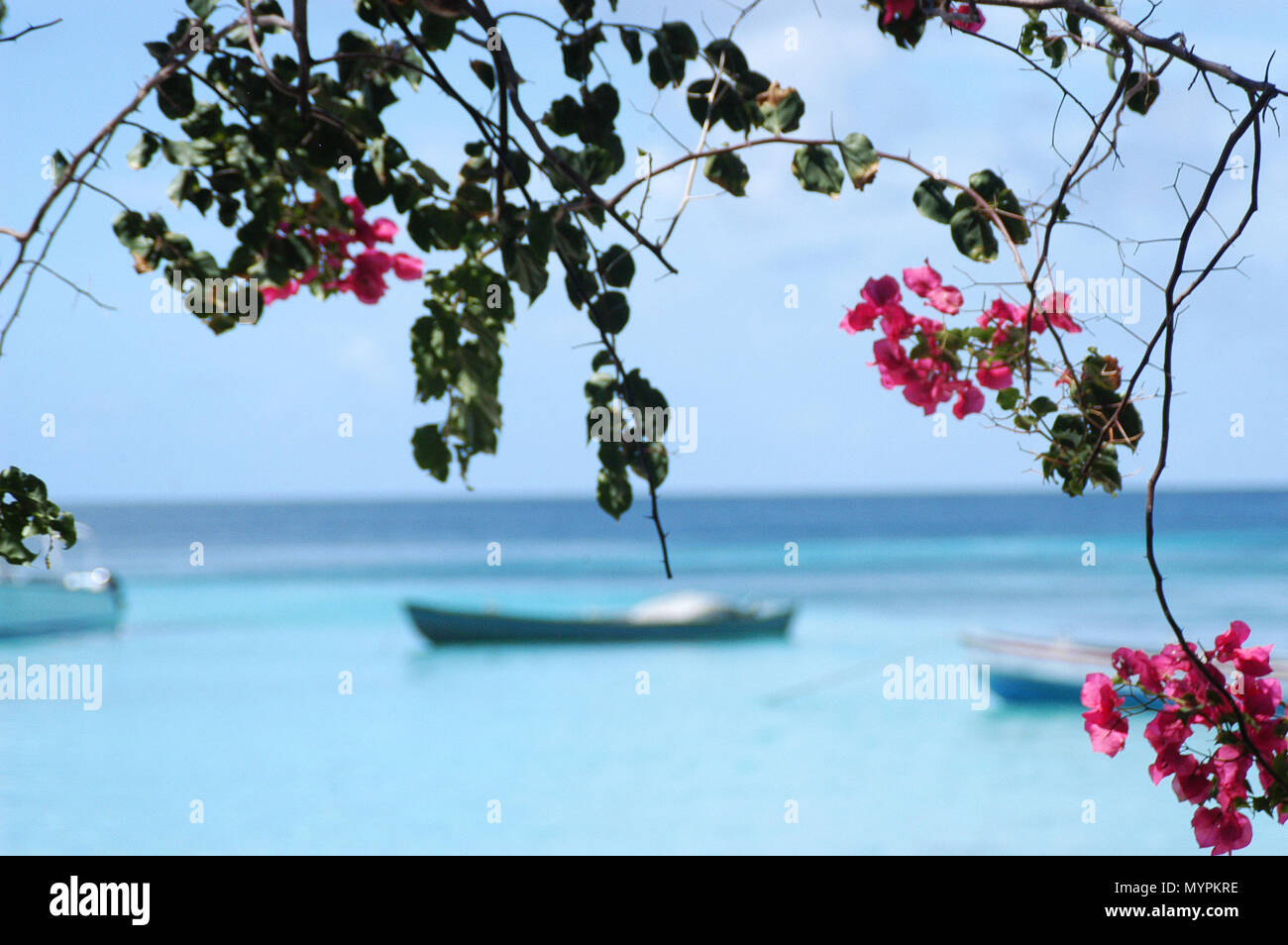 The Grenadine Islands Stock Photo Alamy