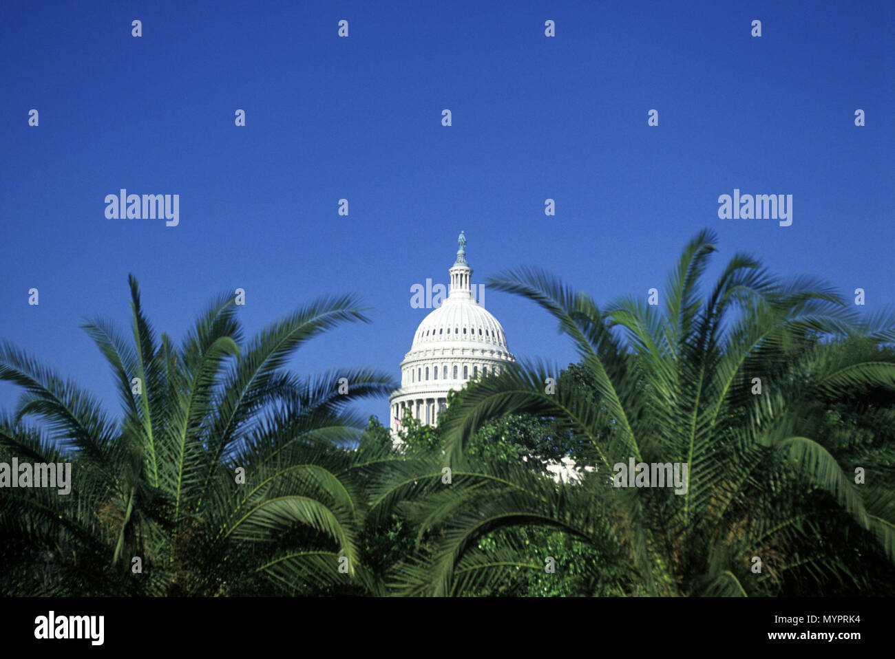 Before dome hires stock photography and images Alamy