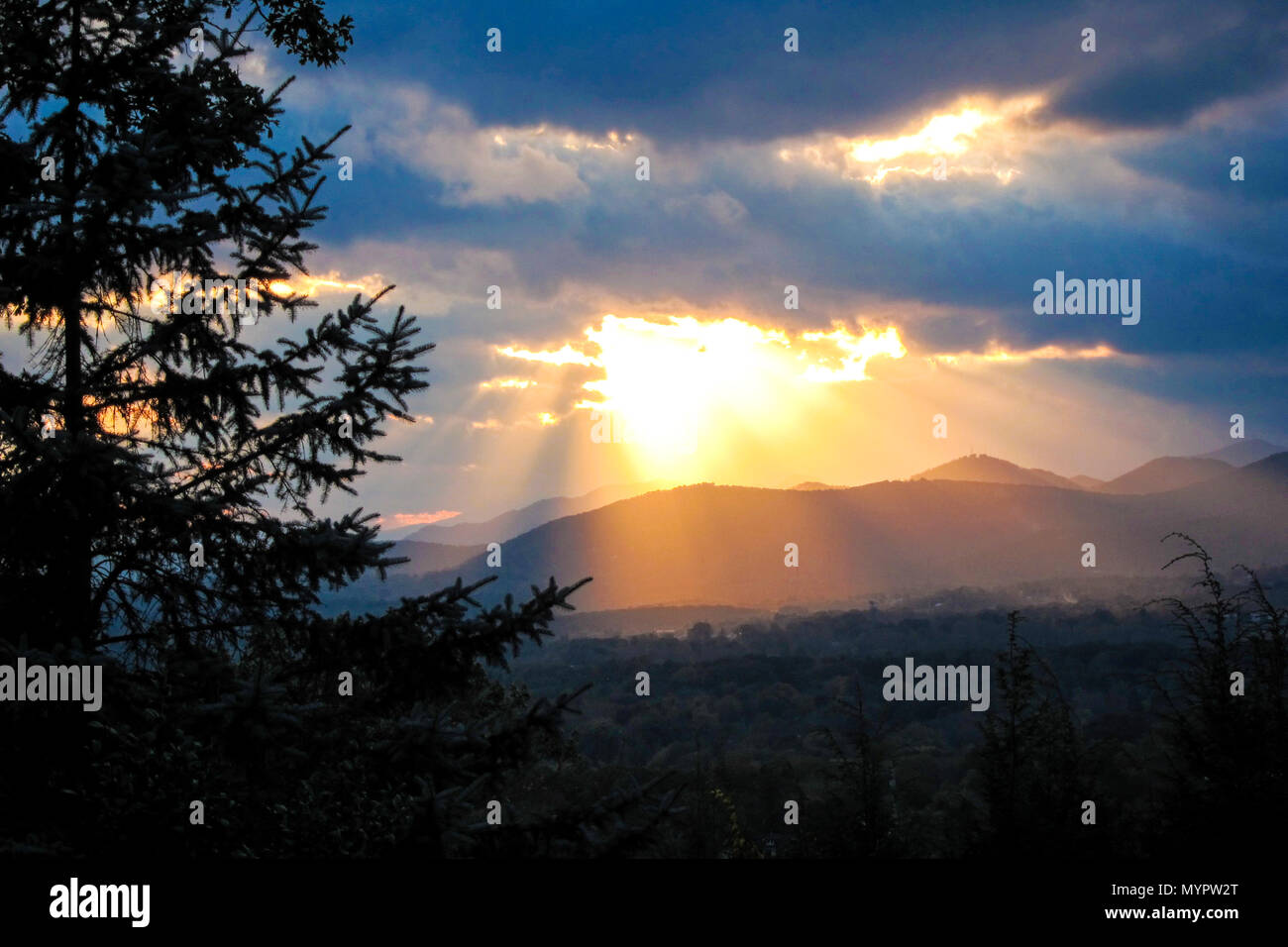 Sun rays illuminate the Blue Ridge Mountains through silhouette of Blue Spruce tree. Asheville, North Carolina. Stock Photo