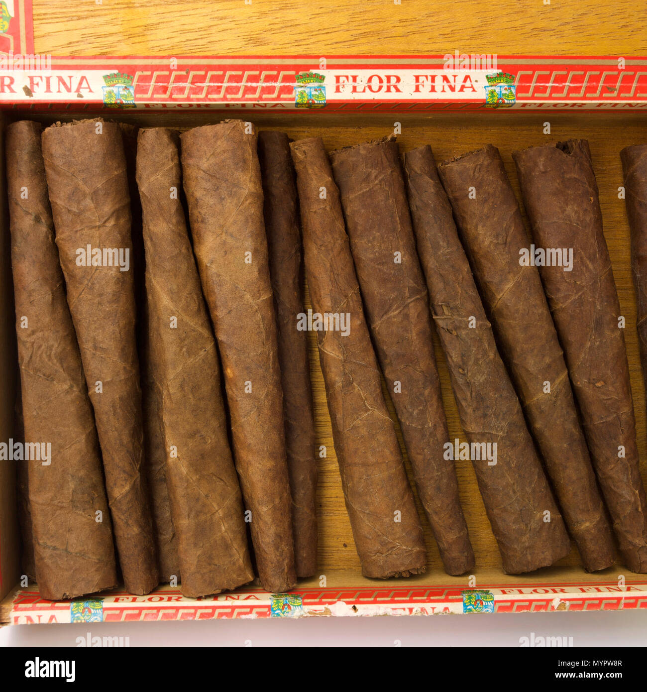 Havana cigars box Stock Photo